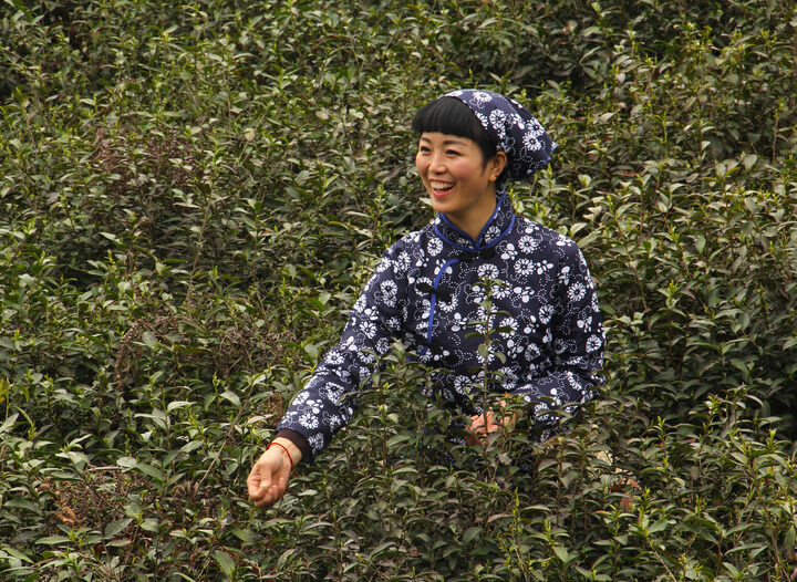百丽直播 热门6